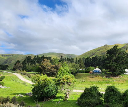 Pīwakawaka Glamping Dome with Fireplace and Private Hot Tub