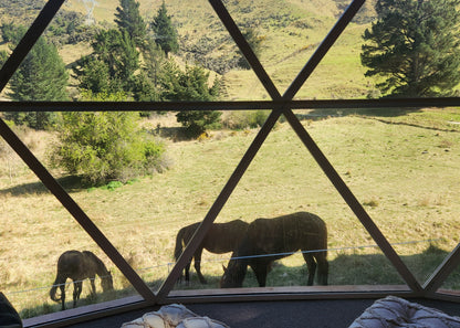 Pīwakawaka Glamping Dome with Fireplace and Private Hot Tub