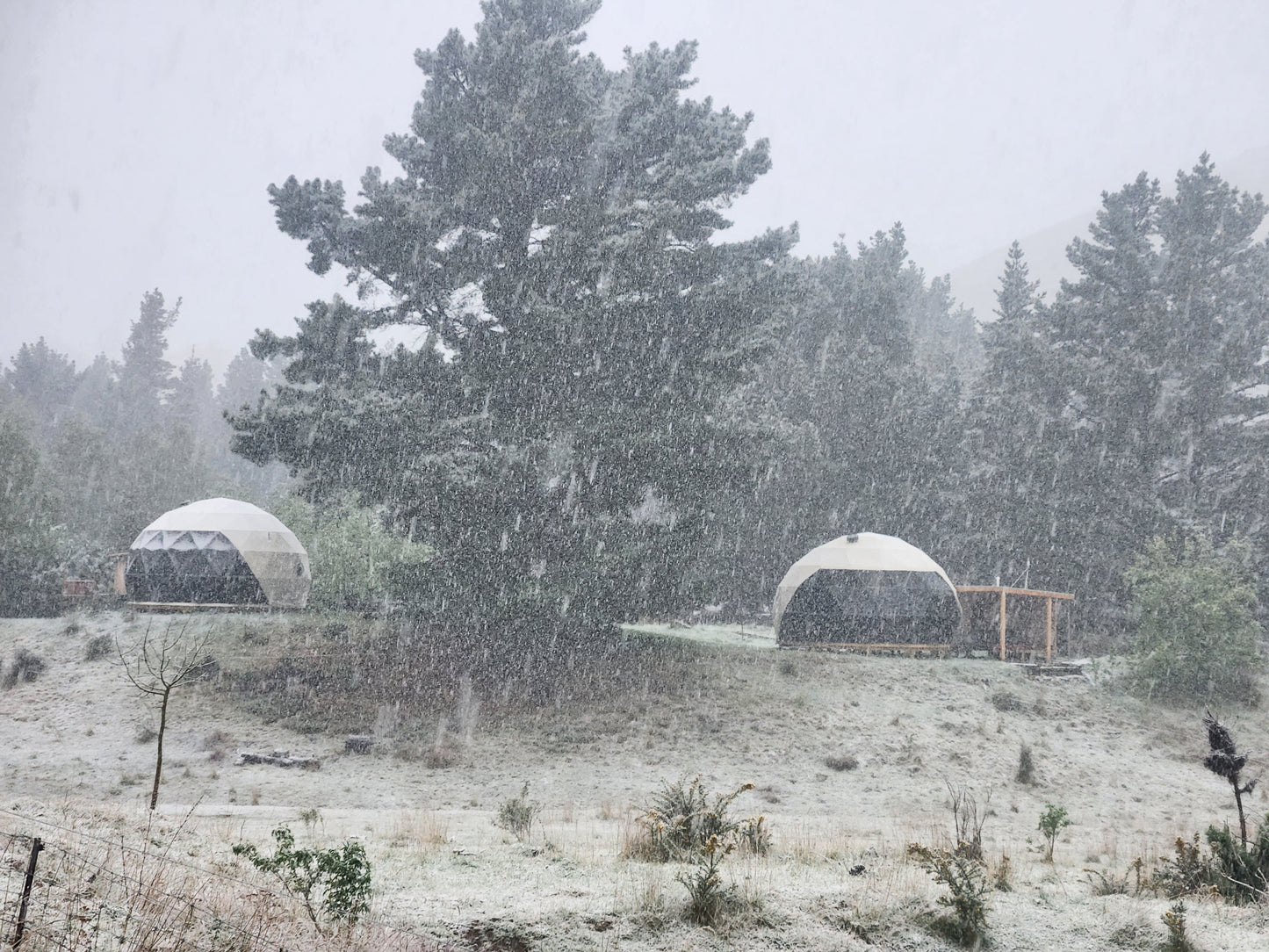 Pīwakawaka Glamping Dome with Fireplace and Private Hot Tub