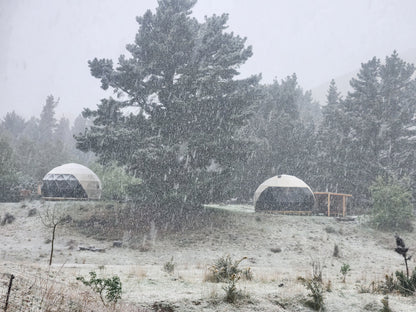 Pīwakawaka Glamping Dome with Fireplace and Private Hot Tub