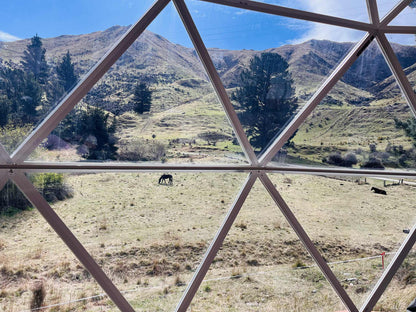Karearea Geodesic Dome with Panoramic Views and Private Cedar Hot Tub